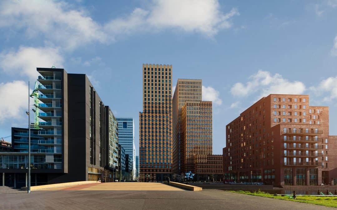 Breinonderwijs met Snellezen en Mindmappen
